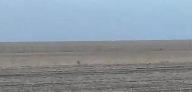 中蒙邊境線明火已被撲滅，為什么蒙古那么容易發(fā)生草原火災(zāi)？